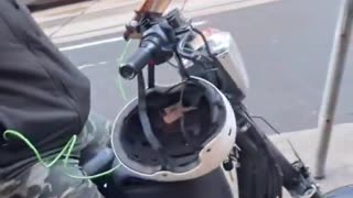 Creepy Asian man in Toronto harassing women and being creepy and when called