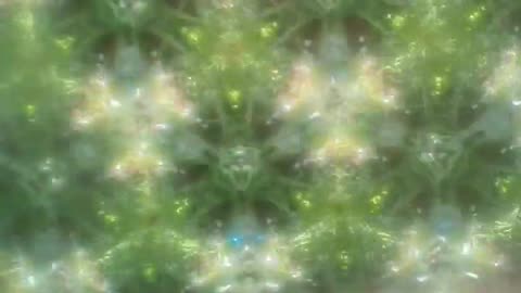 🌿🌈 Kaleidoscope Plants! Found at McKee Botanical Gardens | FeedMyCuriosity