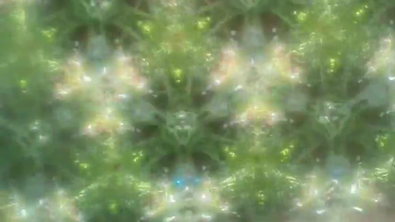 🌿🌈 Kaleidoscope Plants! Found at McKee Botanical Gardens | FeedMyCuriosity