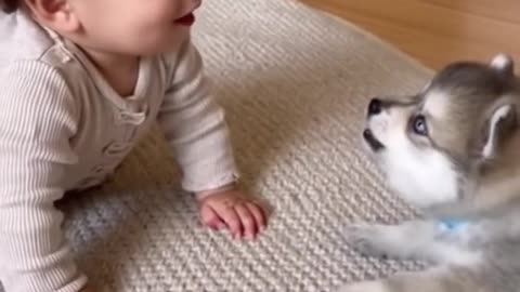 Puppy and Baby