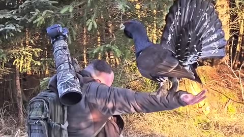 The wildlife photographer held the bird in his arm but the bird pecked him