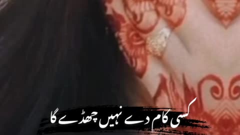 #کمال_محبتاں_سنگت_اللہ_تیاکو