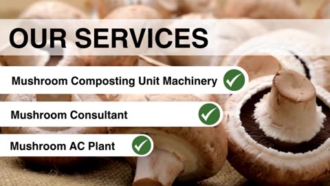 Mushroom AC Plant- MushroomMachines