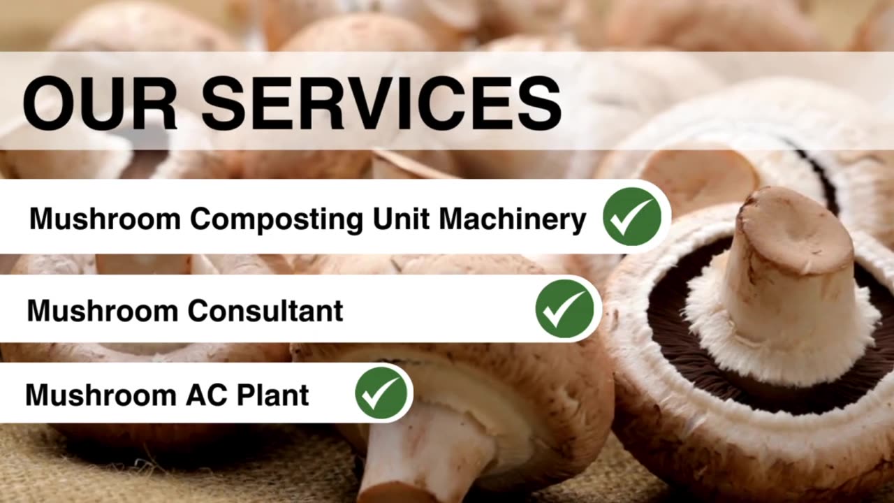 Mushroom AC Plant- MushroomMachines