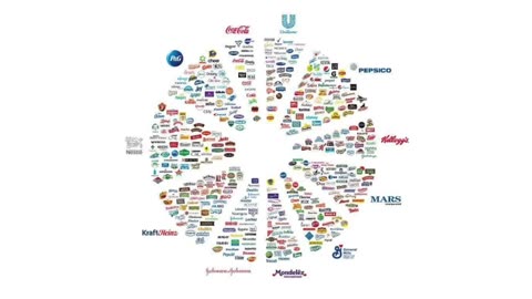 Discovering the TOXIC ingredients hidden in our food