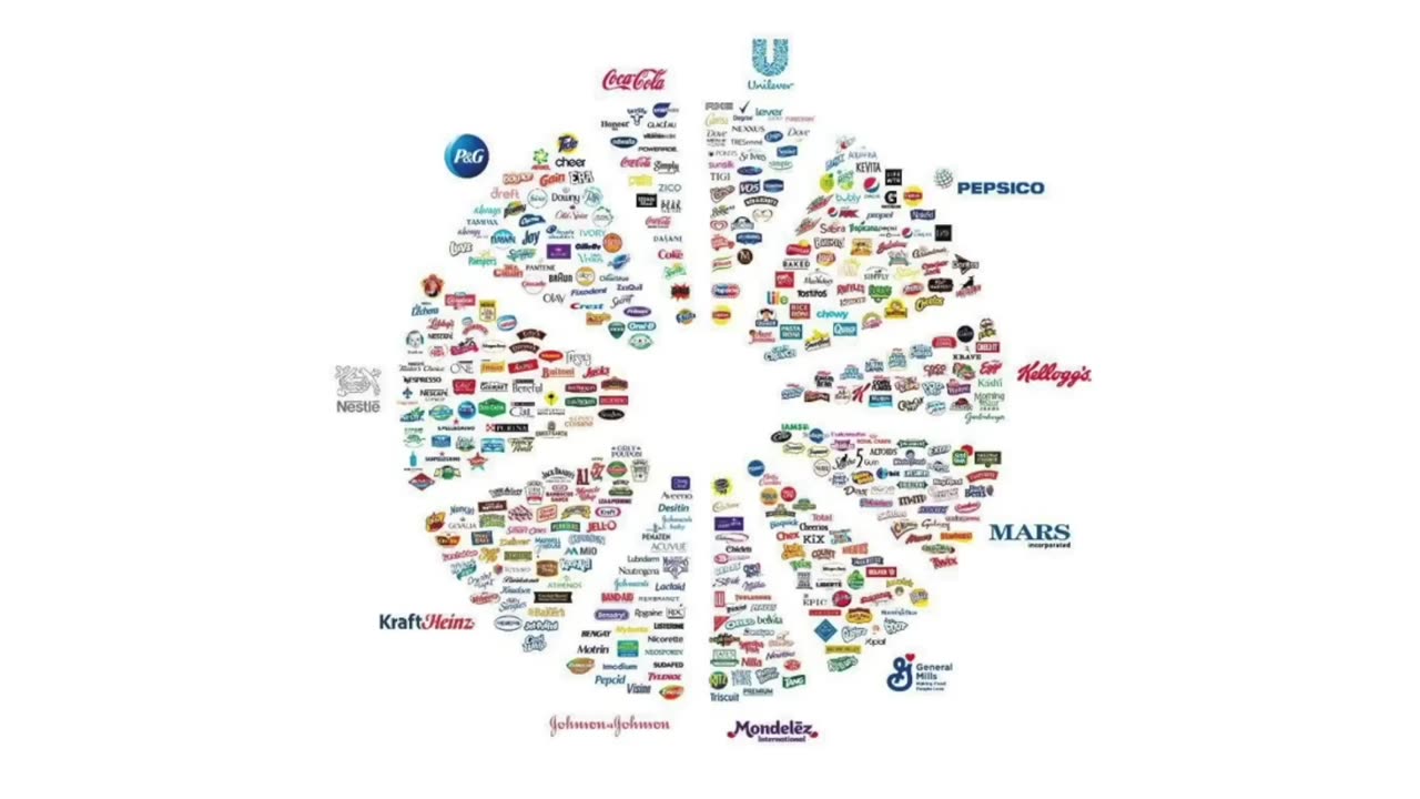 Discovering the TOXIC ingredients hidden in our food