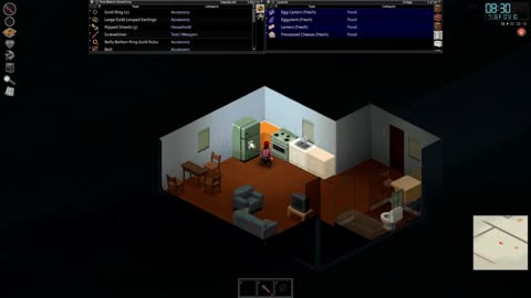 Gaming 06 Project Zomboid