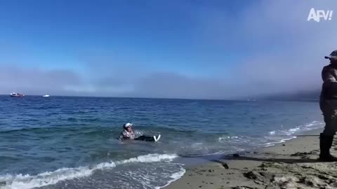 That one friend who never learns their lesson.