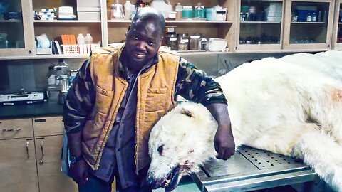 Man Unleashes Ancient Parasite by Taking Photo With Dead Polar Bear