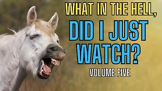 What In The Hell, Didi I Just Watch? VOLUME FIVE