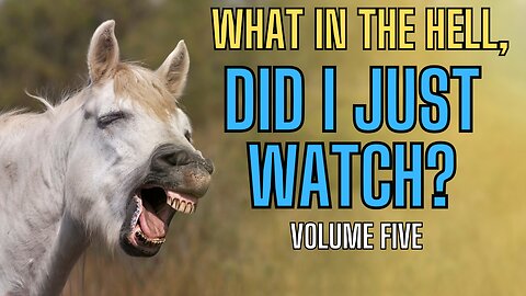 What In The Hell, Didi I Just Watch? VOLUME FIVE