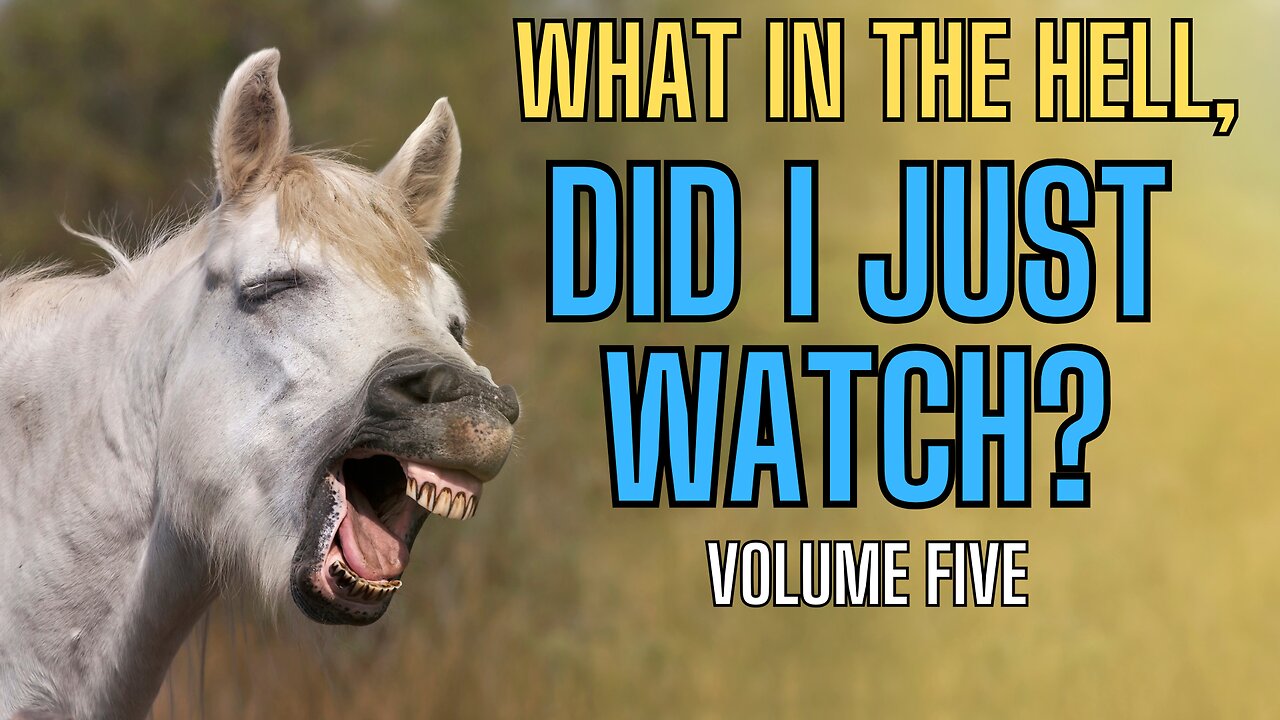 What In The Hell, Didi I Just Watch? VOLUME FIVE