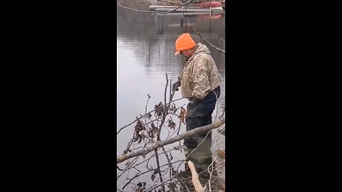 Beaver runs into trap while we are setting one beside it!