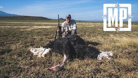 Hunting Kirk's Dik-Dik, Ostrich and Patterson's Eland - Tanzania | Mark V. Peterson Hunting