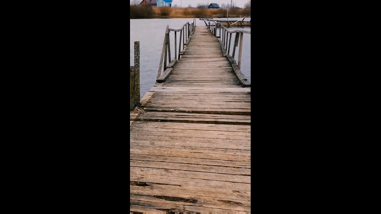 Daily Verse October 24th 2024