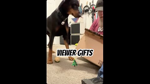 Doberman Unboxes a Fan Gift: Of Course Vader Gets Excited 🐾🎁🤣