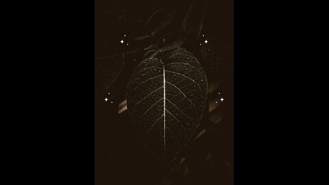 Hadees e nabvi (saw) #islam #viralvideos #islamicreminders #prophetmuhammadsaw #hadeesenabvi