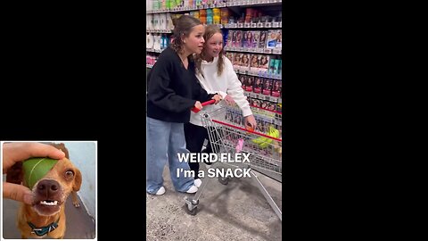 Funny videos compilation 56