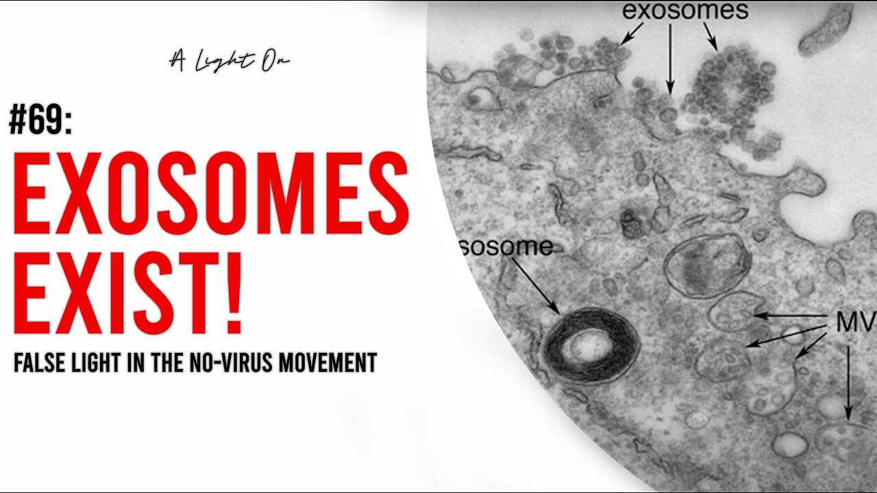 #69: Exosomes Exist: False Light in the No-Virus Movement