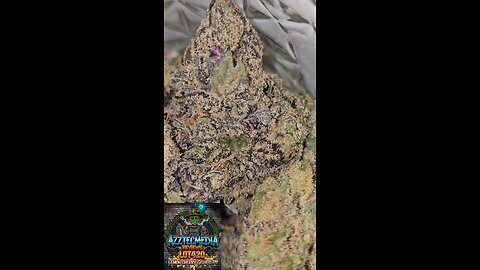 lemon cherry gelato T19 Azztecmedia Reviews #UK #medical