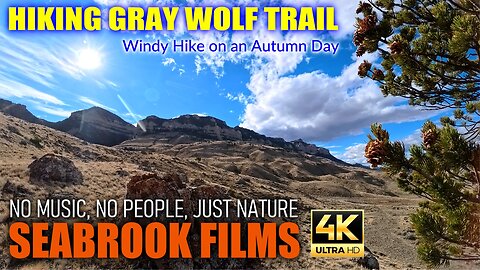 Hiking Gray Wolf Trail: Windy Hike on an Autumn Day