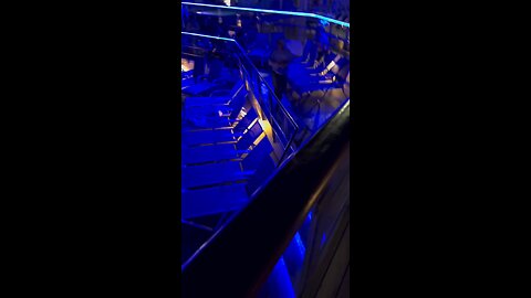 Black People Fightin On A Carnival Cruise