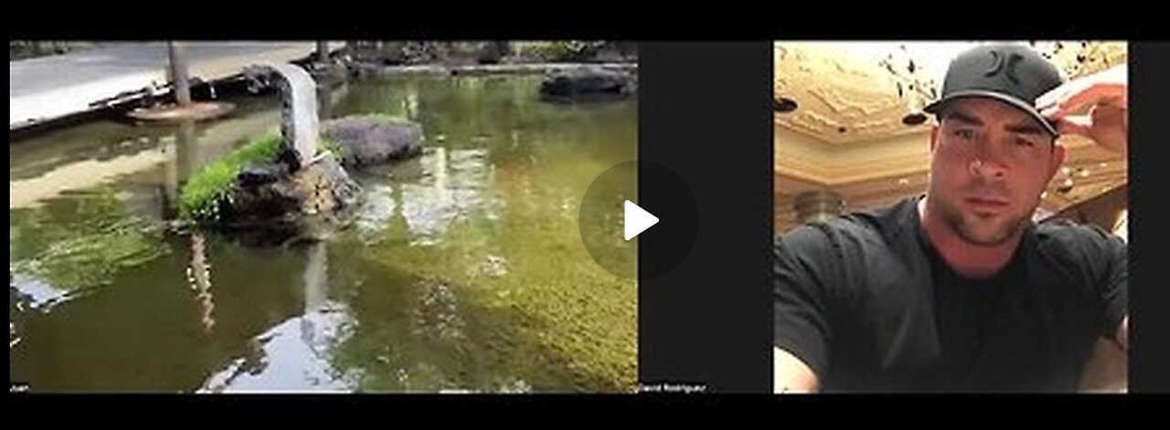 Juan O' Savin & David Nino Rodriguez- Trumps Next Power Moves & Events! This Is HUGE!