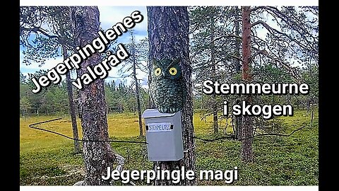Jegerpinglemagi og valgråd fra skogen!