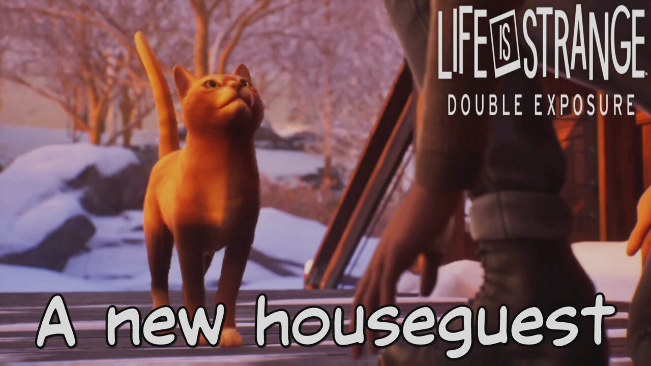 Life is Strange: Double Exposure All Cat Cutscenes