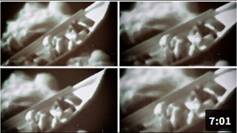 Bowne Report - Embedded Drug Cartels Torn Out