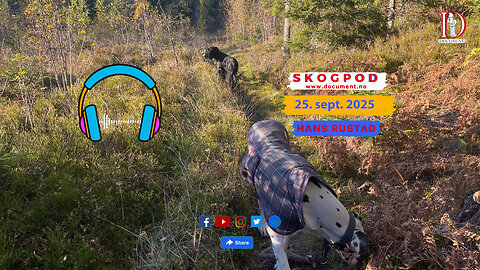 Skogpod 25. september 2025