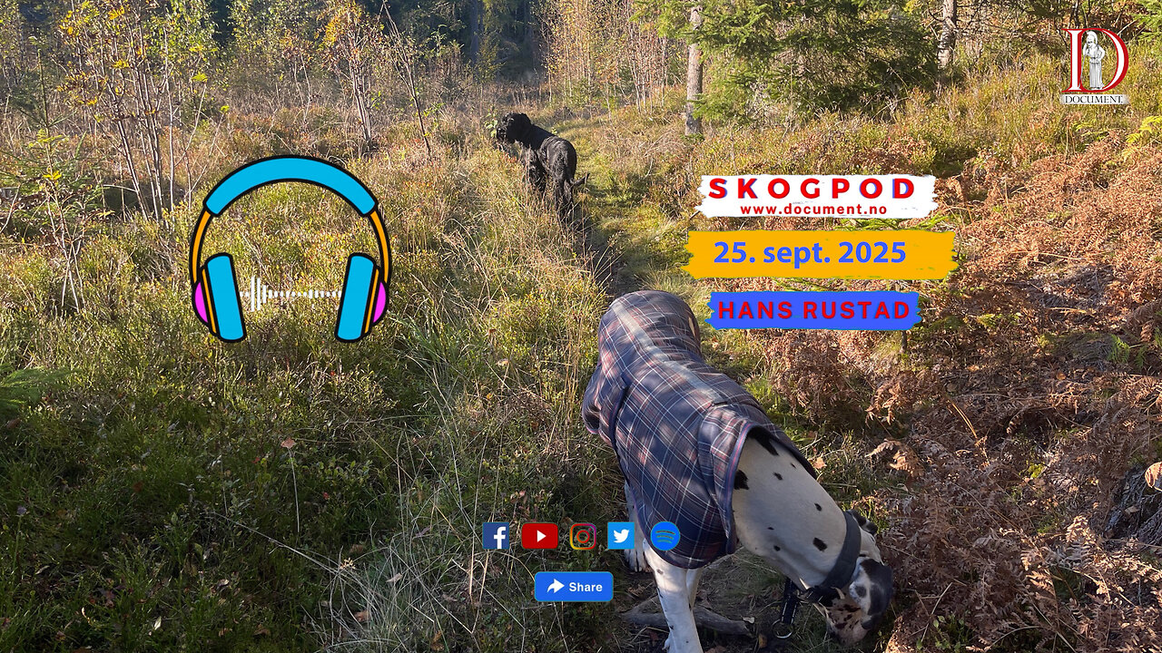 Skogpod 25. september 2025