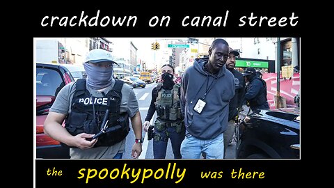 Ice raid on Canal Steet.