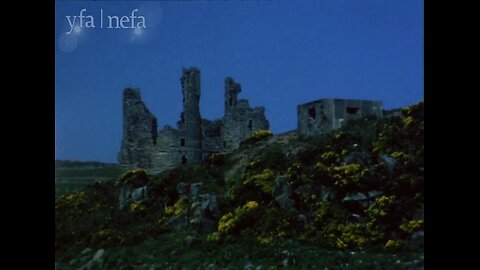 Along The Margin Of The Sea