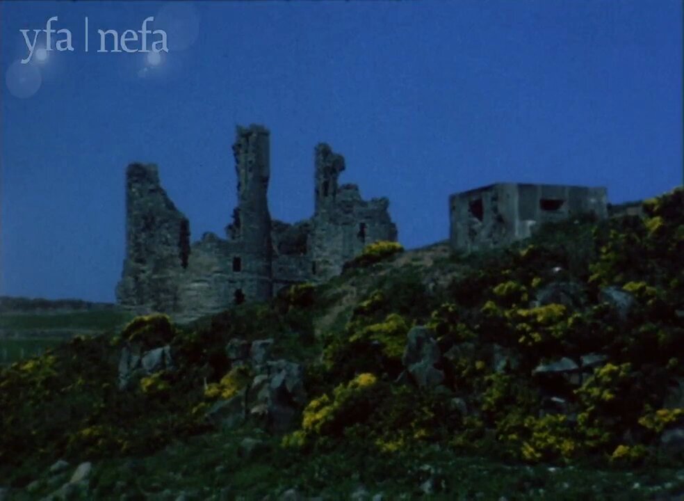 Along The Margin Of The Sea