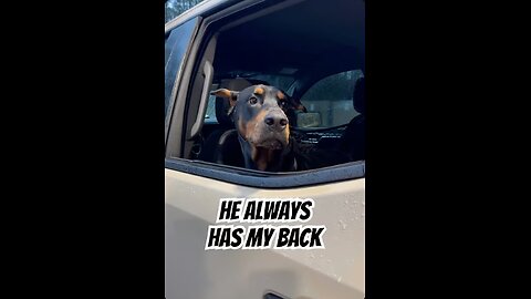 Doberman On Duty: Vader Has My Back at the Gas Pump 🚚🐾