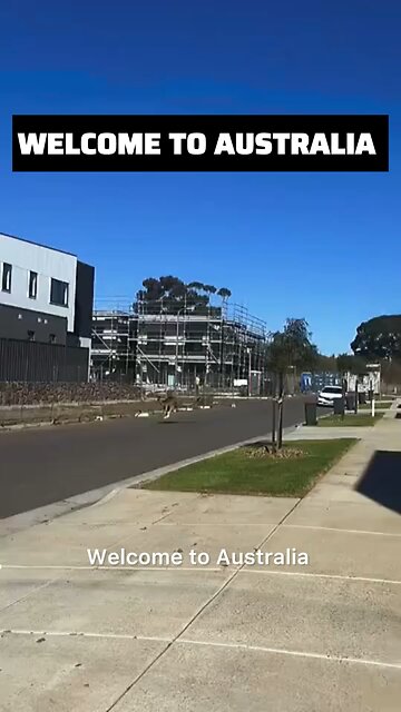 Welcome to Australia 🇦🇺