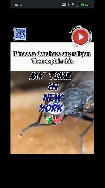 My time in New York 🧃 🐙