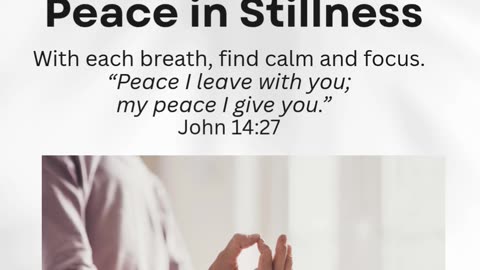 Peace in Stillness