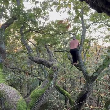 Good session in the trees today 🌳🦍