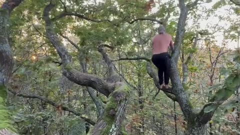 Good session in the trees today 🌳🦍