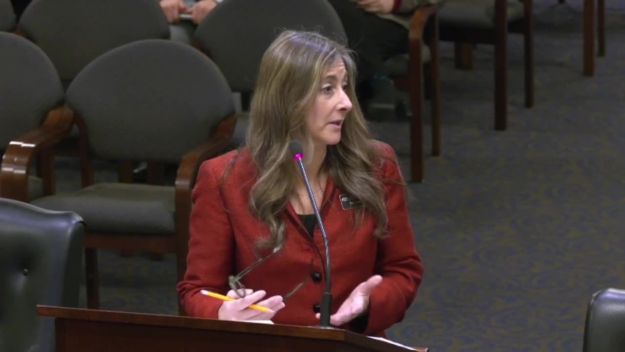 Idaho Representative Heather Scott- Judiciary Rules