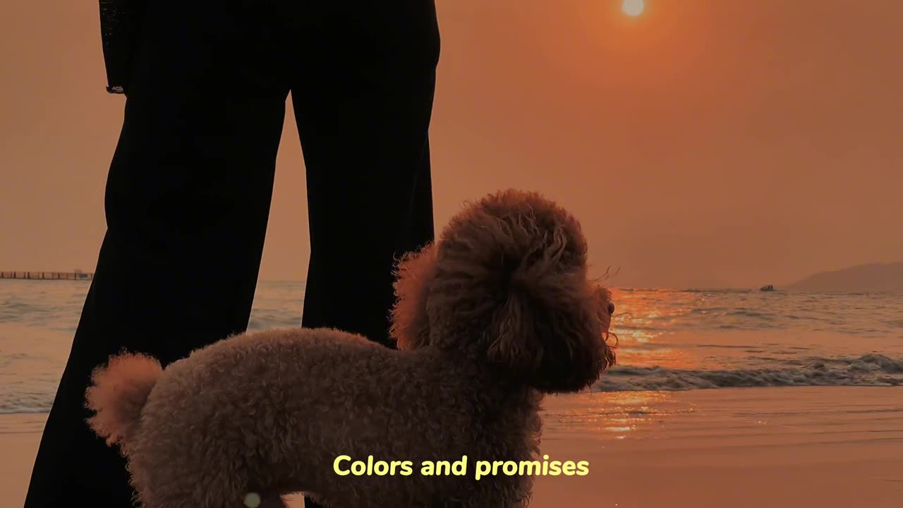 把期望降到最低 所有的遇见都是礼物