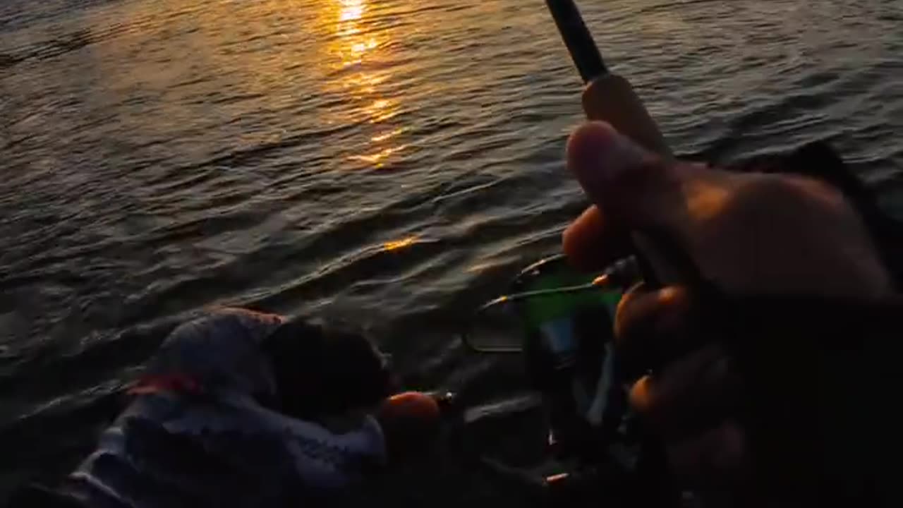 Sunset Fishing Part 2