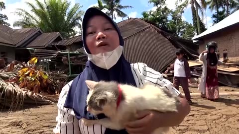 Cat reunites with owner after surviving Indonesia floods