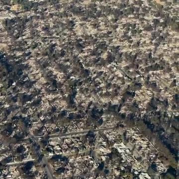 Most of the city burned like it was made of wild grass