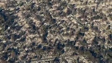 Most of the city burned like it was made of wild grass