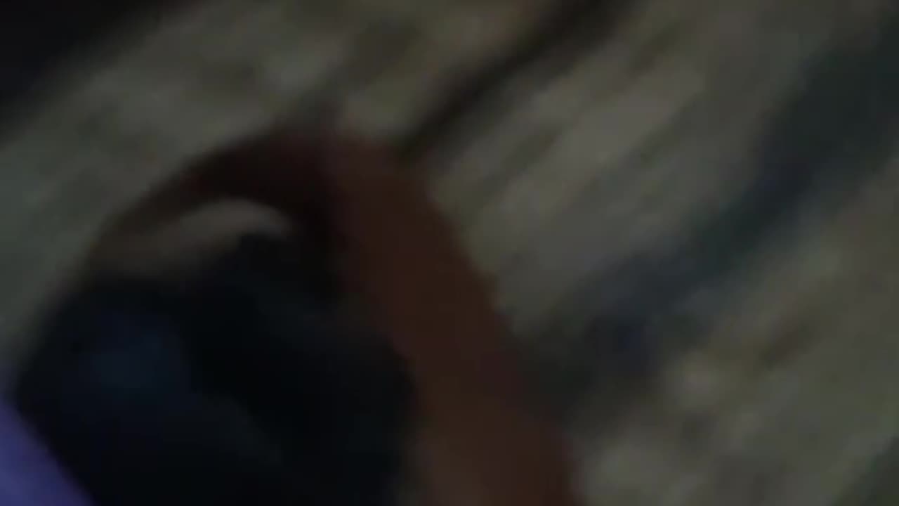 Teaching Bella to roll over