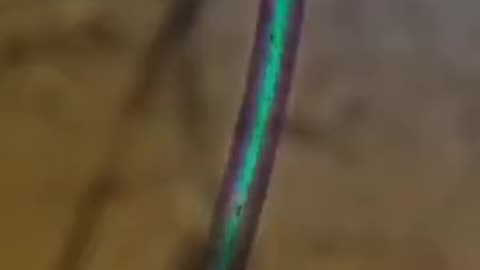 beer Poison