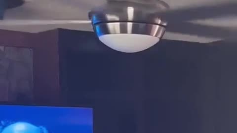 🤣📸 You Won't Believe This Hilarious Closeup Moment! | FunFM